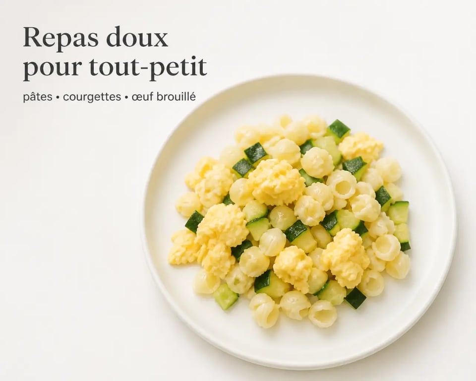 Recette rapide bébé 2 ans : assiette simple de petites pâtes, légumes fondants et œuf brouillé
